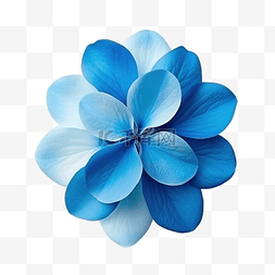 美丽的蓝色花瓣渐变