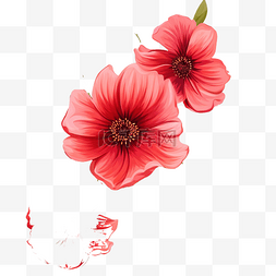 花朵无缝图案 PNG