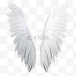 天使的翅膀 羽毛 白色