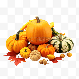 感恩节食物用南瓜和秋叶