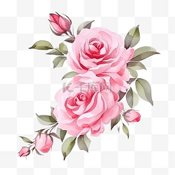 水彩粉色玫瑰花枝花束框架