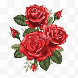 红玫瑰背景素材图片_红玫瑰 向量
