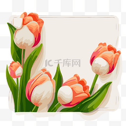 郁金香花的标志图片_矩形背景剪贴画上的橙色和白色郁
