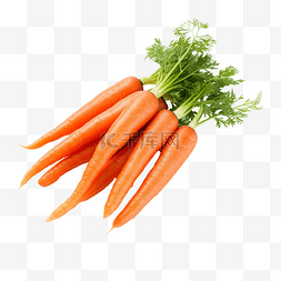 新鲜蔬菜胡萝卜