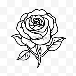 黑白素描玫瑰图片_白色背景上的玫瑰，带有绘制的轮