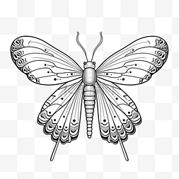 昆虫 bug 线性涂鸦