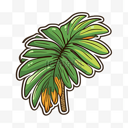 棕榈树平面图片_热带棕榈叶的插图 热带叶棕榈树 