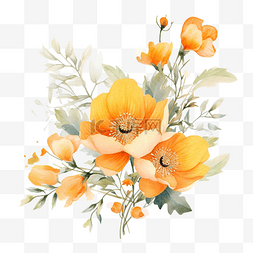蕨类花图片_水彩橙色花卉植物