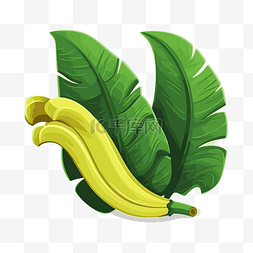 香蕉假 向量