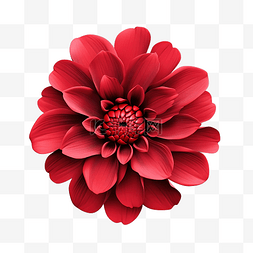 拼花家具图片_红色的花 3d 渲染
