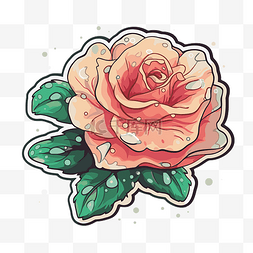 灰色背景剪贴画上的桃玫瑰贴纸 