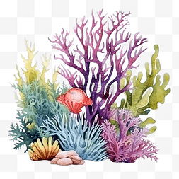 海底植物植物图片_海藻水下海洋植物海珊瑚元素水彩