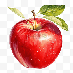 苹果水果画
