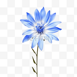 眼镜潮人图片_蓝色简单的花