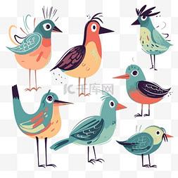 卡通彩色羽毛图片_鸟类剪贴画 不同系列的彩色鸟类