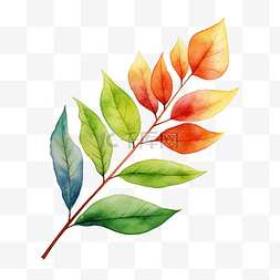水彩葉子插圖