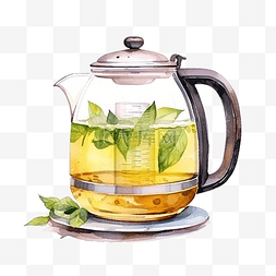 茶樹图片_水彩水壶茶