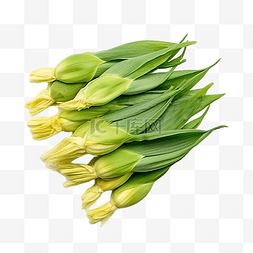 爱上焦糖爆米花图片_黄玉米的绿色外皮被用作食品成分