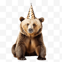 戴生日帽的孩子图片_戴着生日帽的熊