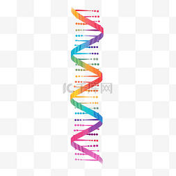 生物基因素材图片_最小风格的 DNA 和基因插图