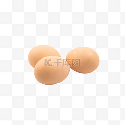 鸡蛋黄色动物蛋
