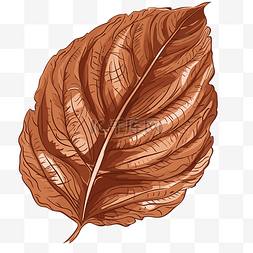 棕色叶子剪贴画手绘棕色叶子咖啡