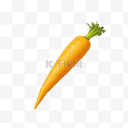 孤立的简单黄色胡萝卜