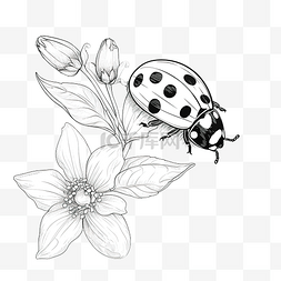 动物植物漫画图片_瓢虫卡通铅笔画花园里的动物和植