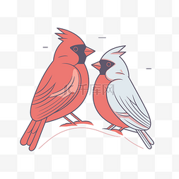 两只红衣主教鸟的矢量图