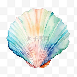 水彩抽象海图片_水彩海贝壳