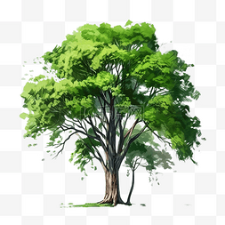 具有孤立背景的树绿树油数字油漆