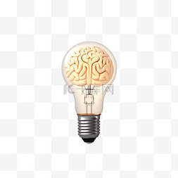 简约风格的灯泡和大脑插图