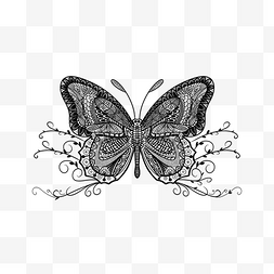 几何线稿线条花图片_装饰线性蝴蝶艺术黑白