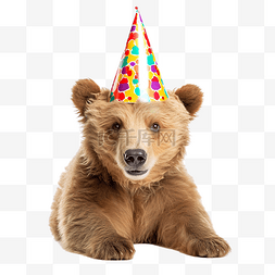 戴生日帽的孩子图片_戴着生日帽的熊
