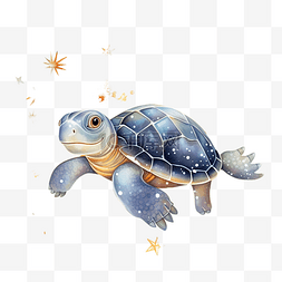 乌龟与星星和闪闪发光的插图