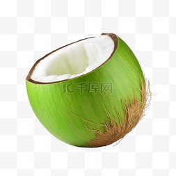食物成分图片_孤立的绿色椰子