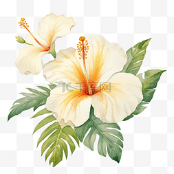 中英提醒图片_普斯利花中的热带花卉装饰水彩