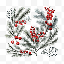 花和叶矢量图片_手绘红色浆果和冷杉树枝