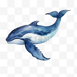 抽象鲸鱼图片_水彩鲸鱼剪贴画