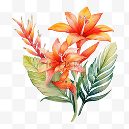 紅色标题图片_普斯利花中的热带花卉装饰水彩