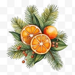 圣诞水彩画与枞树和橙子