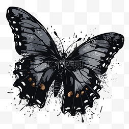 蝴蝶黑色背景图片_黑色的蝴蝶 向量