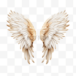 圣基督图片_天使的翅膀 PNG 插图
