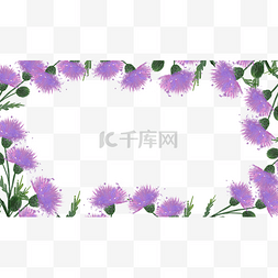 水彩花卉框架图片_蓟花卉水彩花草花朵边框