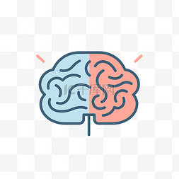 大脑的两个轮廓，中间为蓝色和粉