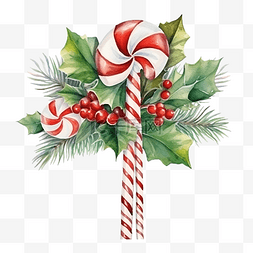 圣诞冬青花束与棒棒糖和糖果手杖