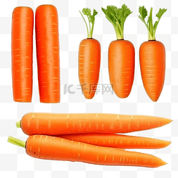 一根新鲜胡萝卜图片_一组完整的和切片的胡萝卜分离
