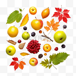 秋季水果