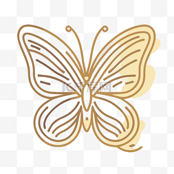 白色背景上有轮廓的金色蝴蝶 向