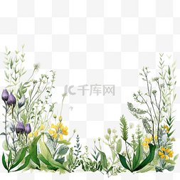 框架免费图片_ai生成天然植物框架免费插画